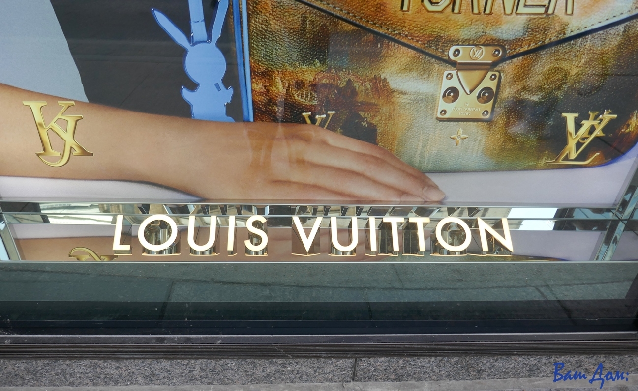 Louis Vuitton P1030658
