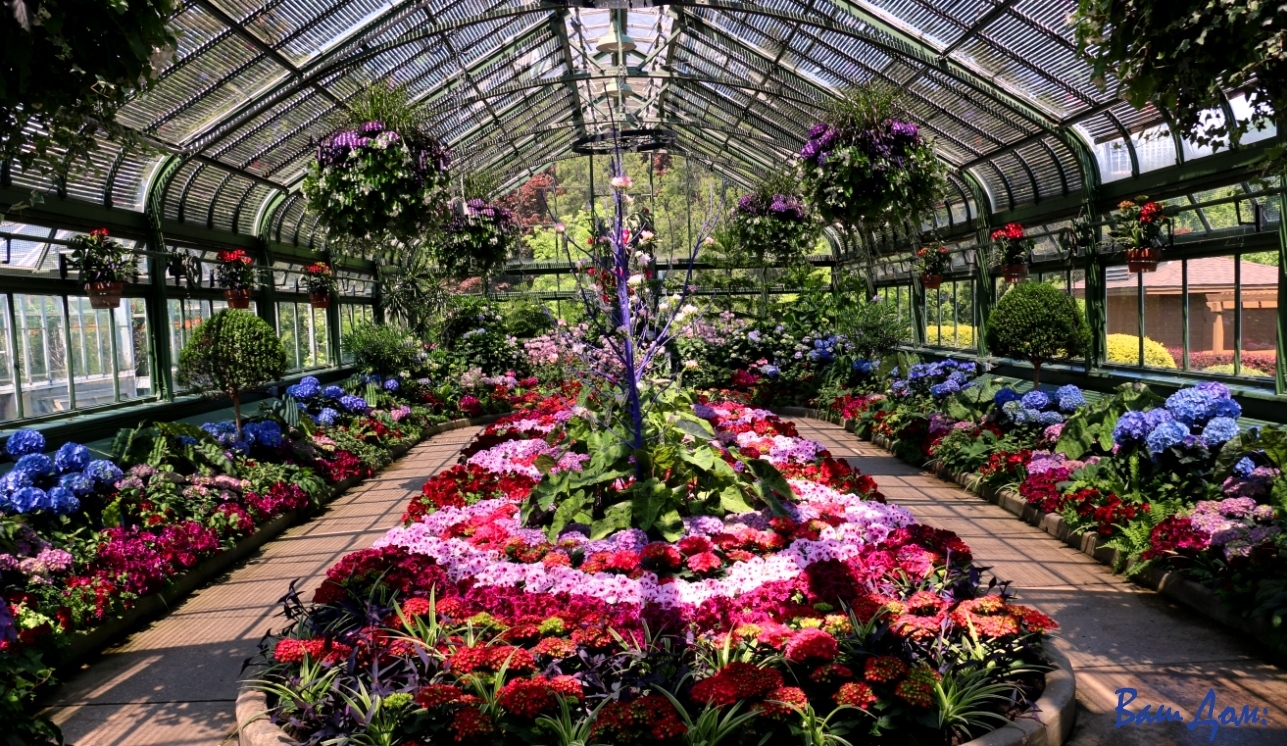 Niagara Parks Floral Showhouse IMG_8514
