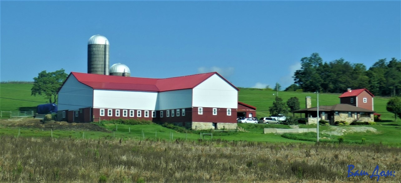 Ферма в Канаде P1230341-с