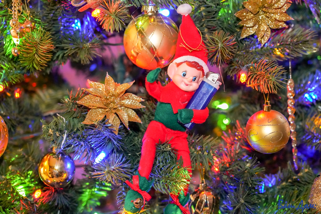 Эльф на полке (Elf on the Shelf) DSC00265